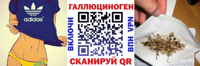 сколько стоит  Сатка  Галлюциногенные грибы прущие грибы 